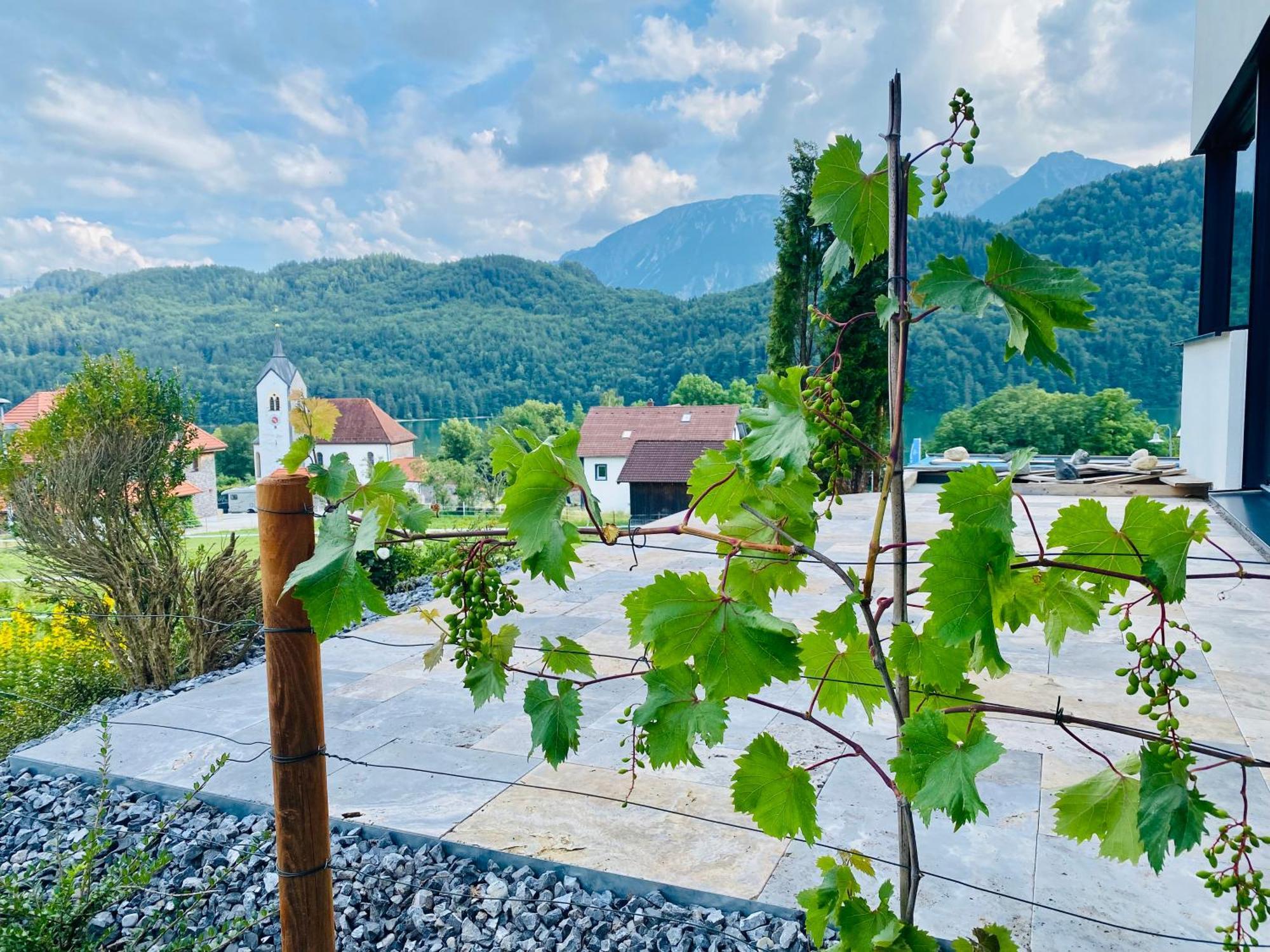 Luxury Mountain Lodge Fussen Ngoại thất bức ảnh